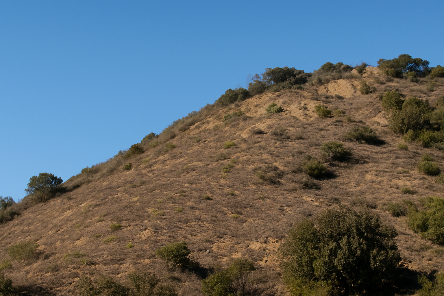 How to Replace the Hollywood Sign with Your Own Text in Photoshop