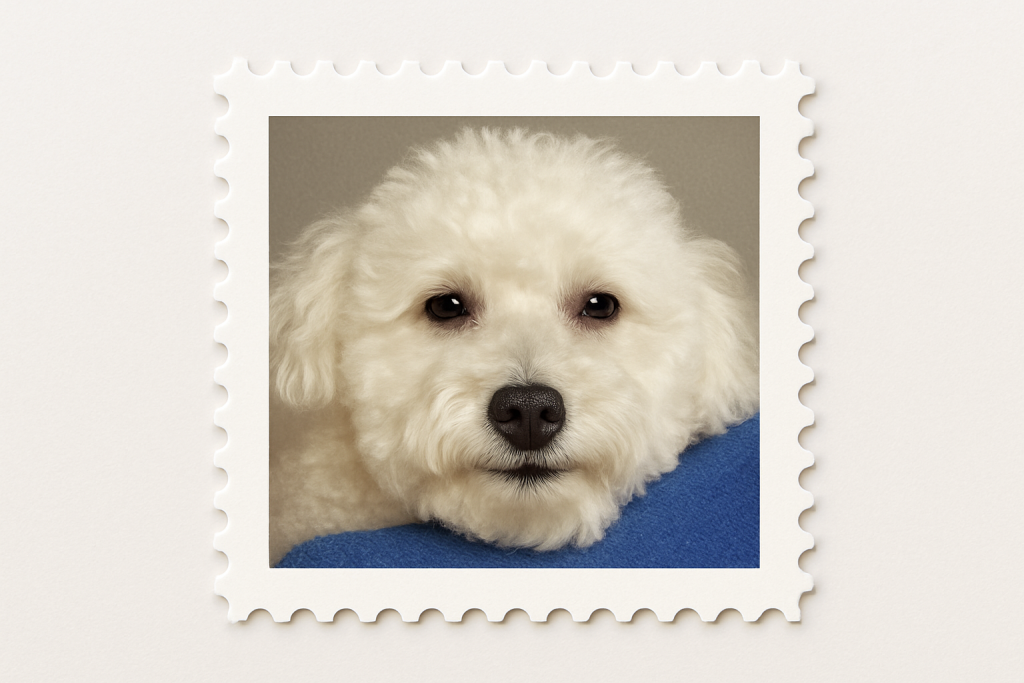 Photoshop custom postage stamp guide