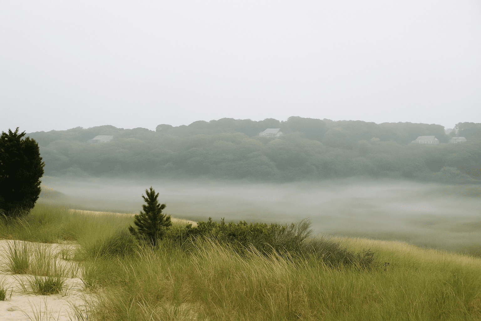 Add Realistic Fog and Mist to Your Photos Using Photoshop